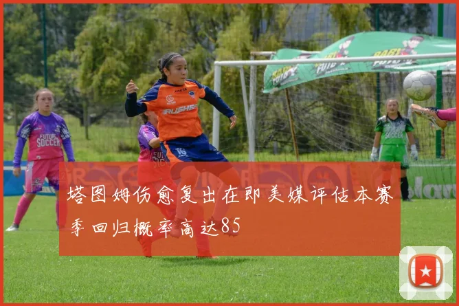 塔图姆伤愈复出在即美媒评估本赛季回归概率高达85