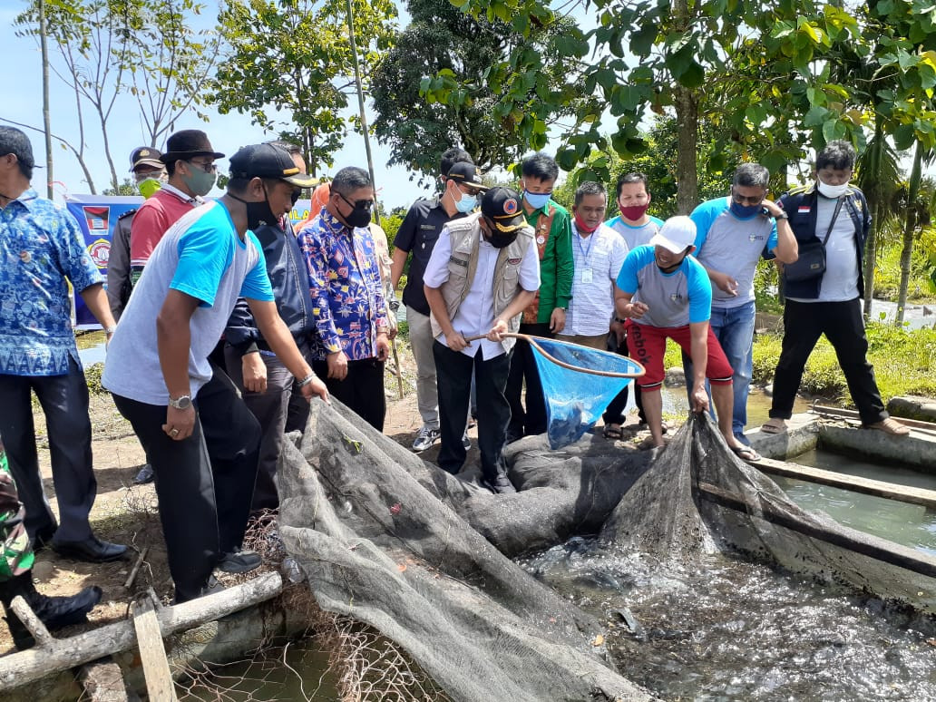 Wawako Padang Apresiasi UEP Karta Jaya Tarantang, Sukses Budidaya Ikan di Tengah Covid-19