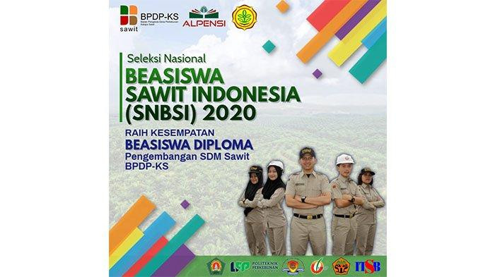Info Pendidikan: Beasiswa Sawit Indonesia, Kuliah Gratis dan Magang di Perkebunan Besar