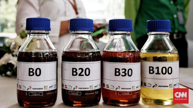 Indonesia Berpotensi Jadi Produsen Biodiesel Terbesar di Dunia