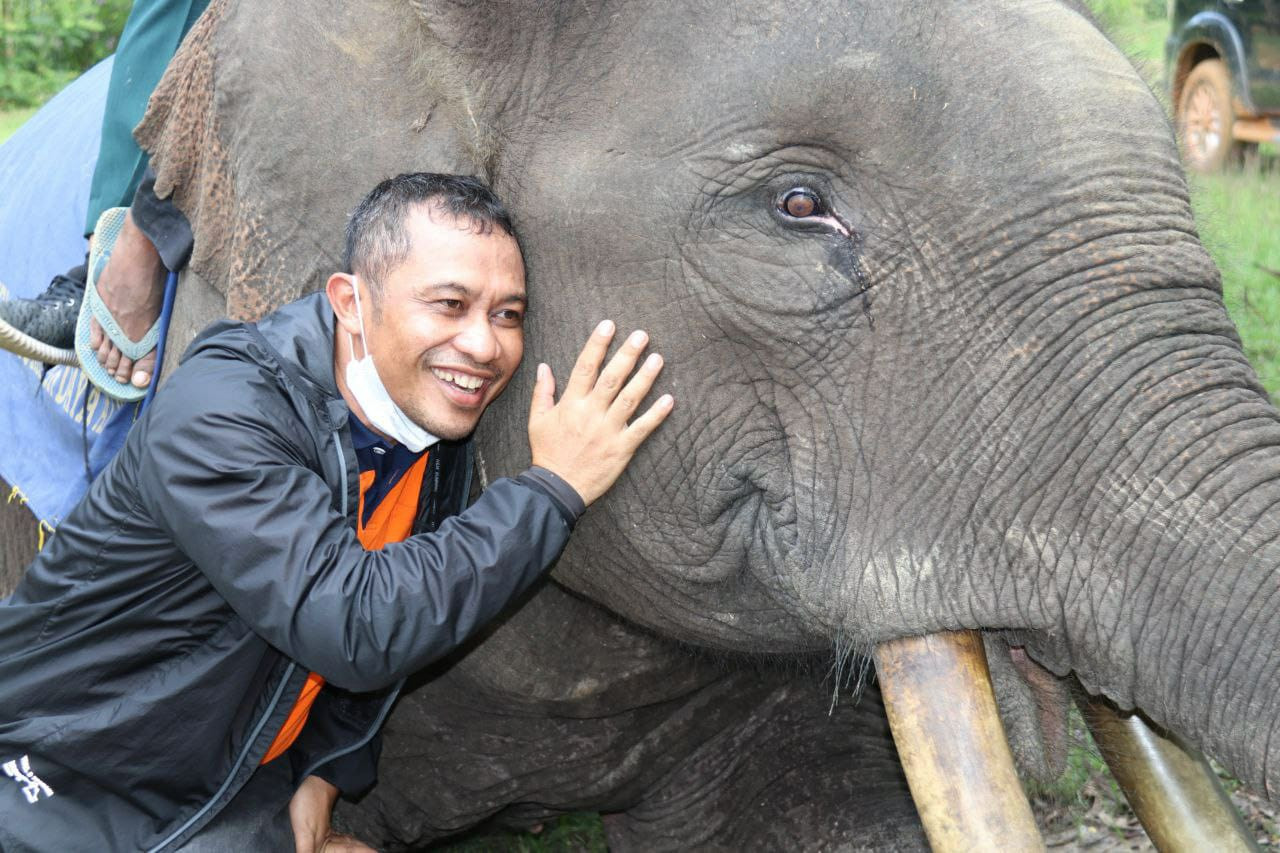 Nikmatnya Sensasi Nunggang Gajah Sarma di Muara Basung Bengkalis