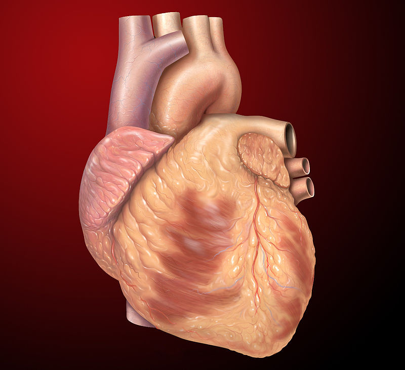 9 Tanda Sakit Jantung yang Harus Anda Ketahui