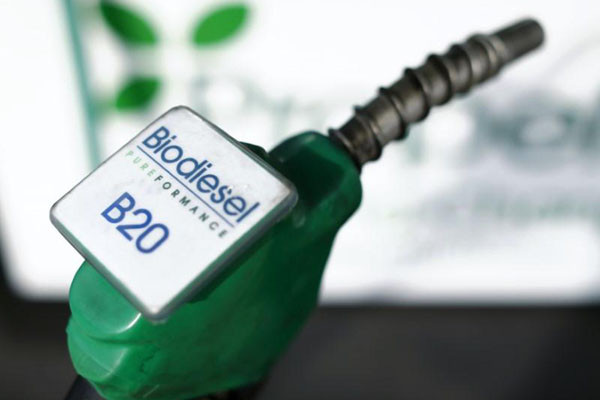 Siap-siap Program Biodiesel 40%, Ini yang akan Dilakukan Pemerintah untuk Tiga Komposisi