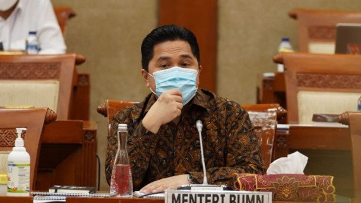 Soal Keluhan Pupuk, Bibit dan Permodalan Petani Kelapa Sawit Riau, Ini Solusi Menteri BUMN Erick Thohir