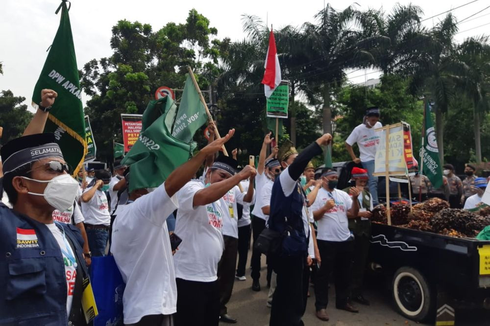 UPDATE Petani Sawit Demo Besar-besaran di Istana Hari Ini, Simak 5 Tuntutannya