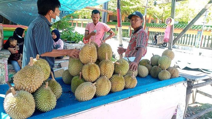 Apa Itu Durian Bantan, Durian Bengkalis Mulai Langka Hingga Gubernur Riau Bilang Jangan Tergiur Jenis Luar