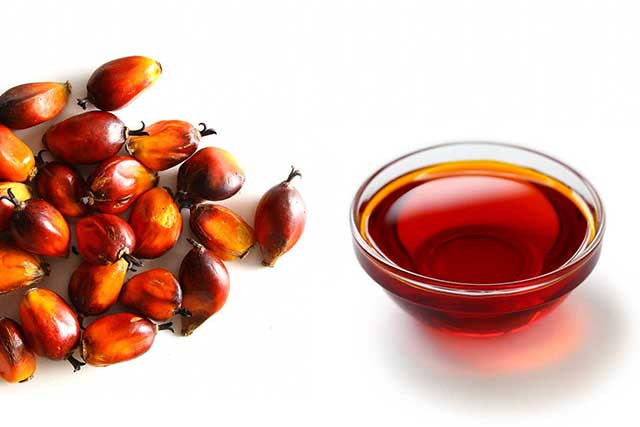 Apa Itu Minyak Merah Red Palm Oil Calon Pesaing Minyak Goreng