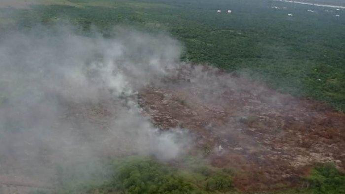 UPDATE Karhutla di Riau Sudah Padam, Menurut Data BPBD 1.000 Hektare Terbakar