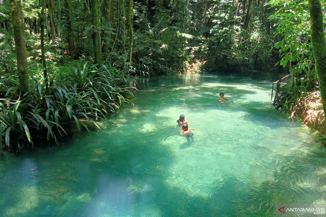 10 Tempat Wisata di Riau untuk Mengisi Akhir Pekan, Dari Wisata Alam hingga Budaya