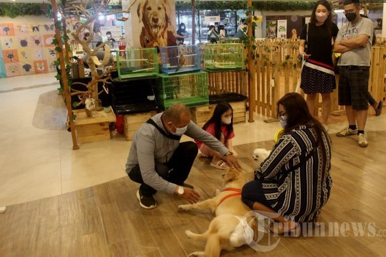Tips Buka Usaha Pet Shop Biar Dapat Cuan Melimpah