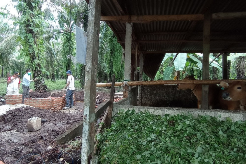 Menarik Nih, 9 Unit Reaktor Biogas untuk Warga Desa di Kampar dari PT PHR, Silakan Coba